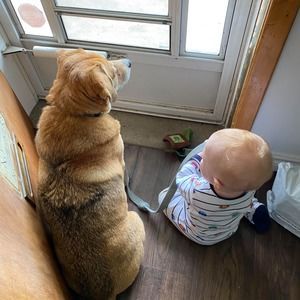 Meet your Posher, Bonita